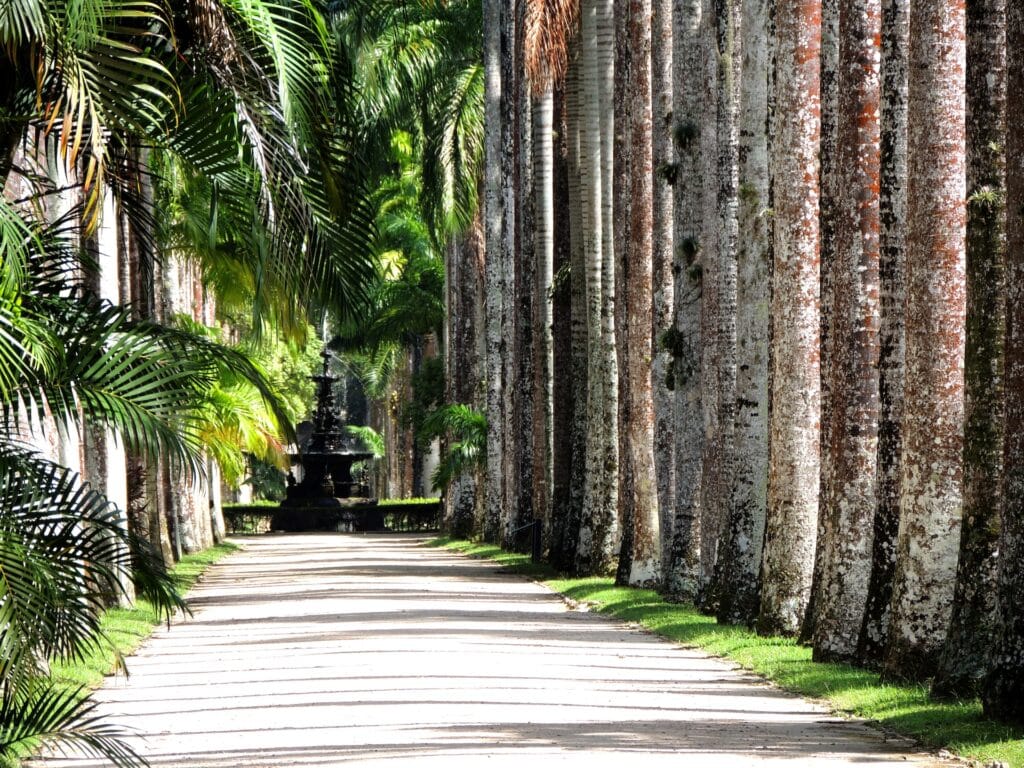 travel guide brazil