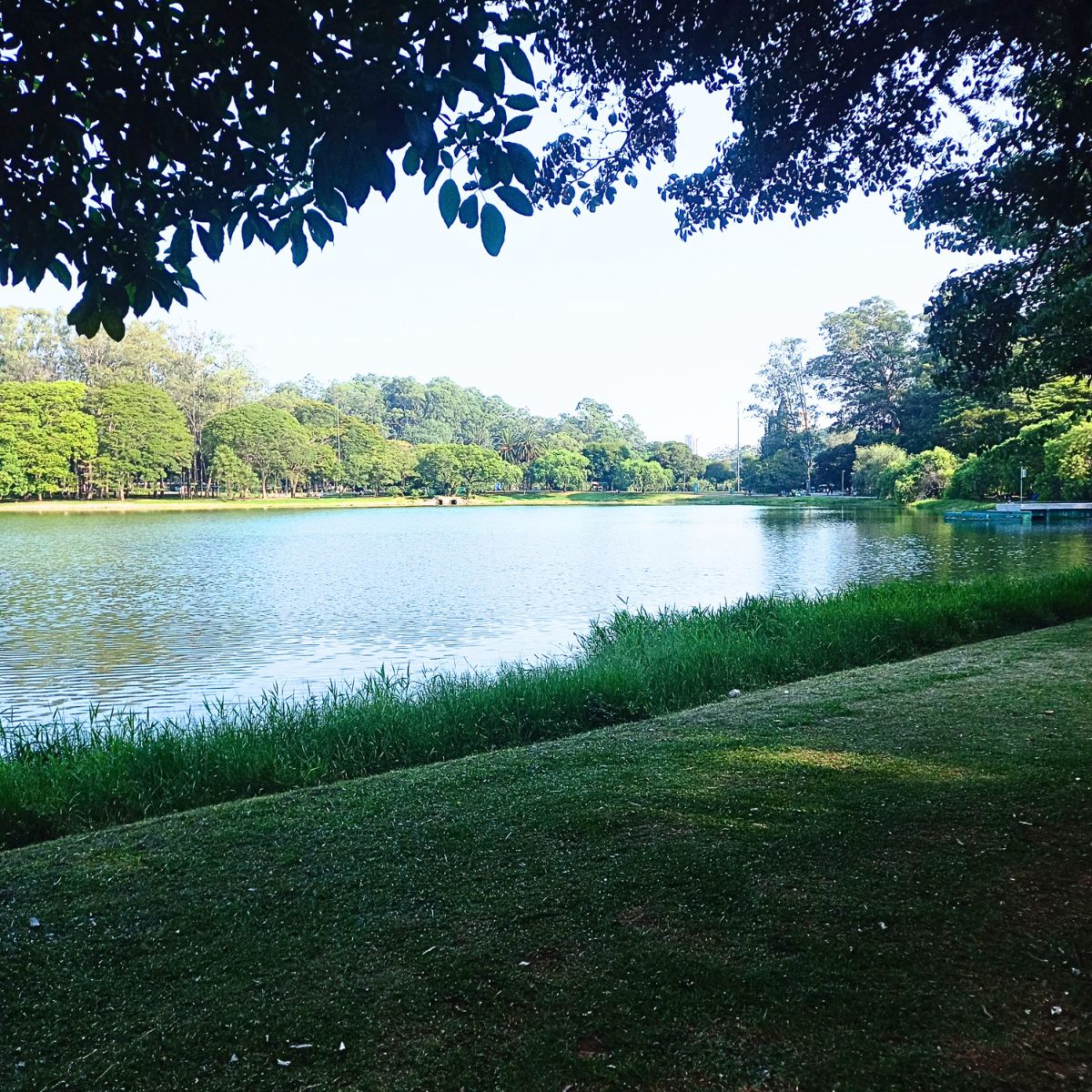 Visting  Ibirapuera Park  while in Sao Paulo, Brazil 