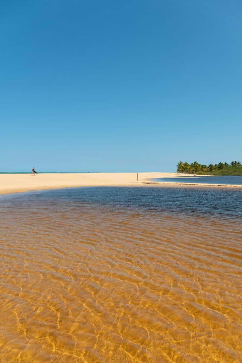 pexels-davidrado-9935226